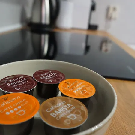 Wohlfuehl-oase In Der Altstadt Mit Wifi, Xl Badewanne, Voll Ausgestatteter Kueche, Hunde Ohne Aufpreis, 17 Min Zur Messe, 3 Min Zum Schloss Appartement