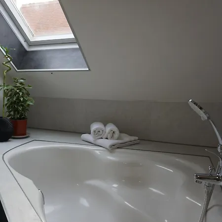 Wohlfuehl-oase In Der Altstadt Mit Wifi, Xl Badewanne, Voll Ausgestatteter Kueche, Hunde Ohne Aufpreis, 17 Min Zur Messe, 3 Min Zum Schloss Appartement Delitzsch