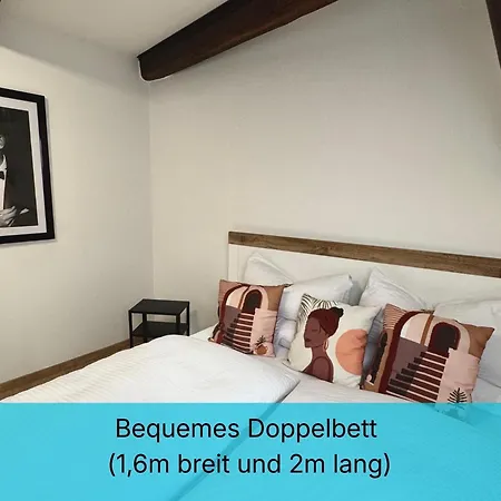 Wohlfuehl-oase In Der Altstadt Mit Wifi, Xl Badewanne, Voll Ausgestatteter Kueche, Hunde Ohne Aufpreis, 17 Min Zur Messe, 3 Min Zum Schloss Appartement