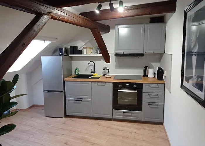 Wohlfuehl-oase In Der Altstadt Mit Wifi, Xl Badewanne, Voll Ausgestatteter Kueche, Hunde Ohne Aufpreis, 17 Min Zur Messe, 3 Min Zum Schloss * ديلتزش