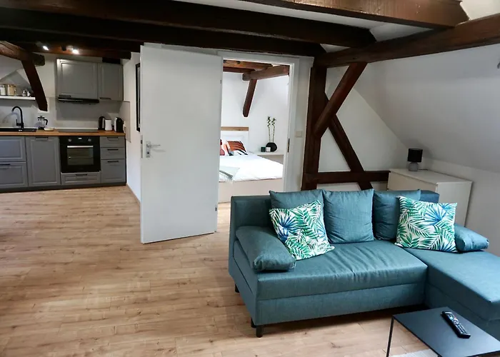 شقة Wohlfuehl-oase In Der Altstadt Mit Wifi, Xl Badewanne, Voll Ausgestatteter Kueche, Hunde Ohne Aufpreis, 17 Min Zur Messe, 3 Min Zum Schloss ديلتزش