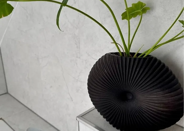 Wohlfuehl-oase In Der Altstadt Mit Wifi, Xl Badewanne, Voll Ausgestatteter Kueche, Hunde Ohne Aufpreis, 17 Min Zur Messe, 3 Min Zum Schloss *